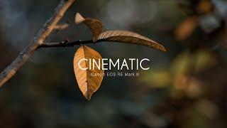 Canon EOS R5 Mark II Cinematic 4k Video Footage