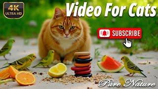 Cat TV Relaxing – Nature's Ultimate Escape for Happy Cats 