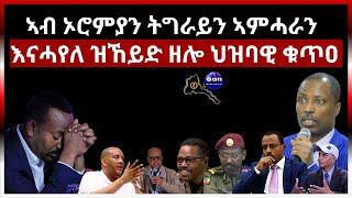 ኣብ ኦሮምያን ትግራይን ኣምሓራን እናሓየለ ዝኸይድ ዘሎ ህዝባዊ ቁጥዐ #aanmedia #ethiopia #eritrea #egypt #somalia #sudan