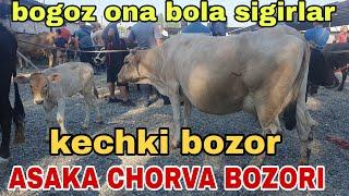 ANDIJON ASAKA CHORVA MOL BOZORI BOGOZ ONA BOLA SIGIRLAR NARXLAI