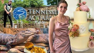 Tennessee Aquarium, Wedding Day, Smoky Mountains, Burger Republic | A French Gal in Nashville