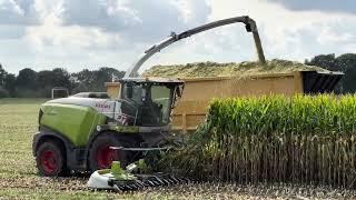 Van Bakel - Claas Jaguar 990 #claas #jaguar990 #harvest #mais #jaguar