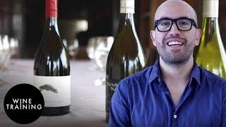 Wine Training - Wine Training | Wine Training School