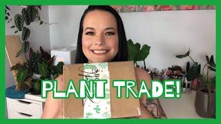 TRADING PLANTS WITH PLANT ME ASHLEY