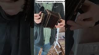 микрогармонь #гармонь гармошка карманная