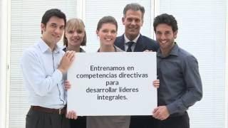 Coaching para empresas en Open Mind Advisor