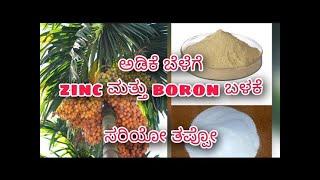 Zinc & Boron for arecanut | ಅಡಿಕೆ ಬೆಳೆಗೆ zinc ಮತ್ತು boron ಬಳಕೆ ಹೀಗೆ ಮಾಡಿ