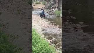 Honda Ct125 hunter cub vs river