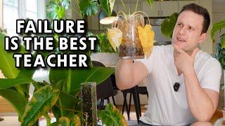 5 Plant Fails & what they taught me