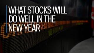 What stocks will do well in the new year?