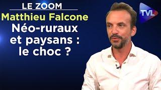 Néo-ruraux et paysans : le choc ? - Le Zoom - Matthieu Falcone - TVL