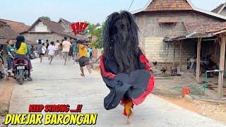 DIKEJAR BARONGAN GALAK !! Bikin Ngakak Penonton Barongan Ngamuk Reog Ponorogo