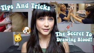 Vet Tech Tips and Ticks | Drawing Blood
