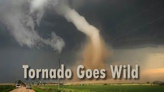 When Tornado Goes Wild