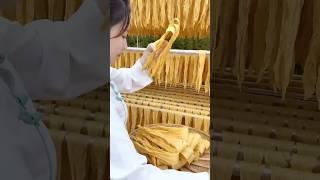 The Production Process of Yuba! #funfacts #tofuskin #yuba