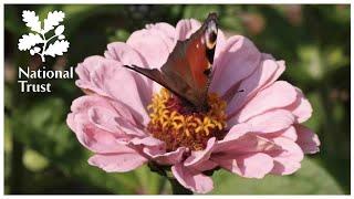 Explore a couple’s love of colour and design at Sissinghurst Castle Garden in Kent