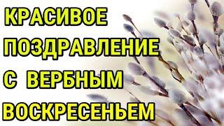 С ВЕРБНЫМ ВОСКРЕСЕНЬЕМ! Красивое Поздравление с Вербным Воскресеньем! Красивая Открытка Пожелания !