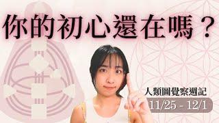 對焦目標的計劃才有意義｜11/25-12/01｜9 號閘門、16 號閘門｜人類圖覺察週記