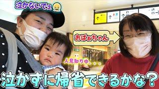 【チェリ子の夏休み️】人見知りチェリ子は泣かないよ！