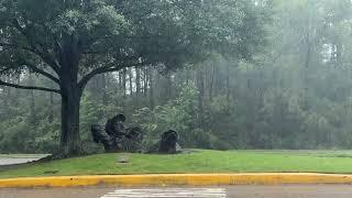 The Woodlands Texas Catches The Worst Of Hurricane Beryl 2024