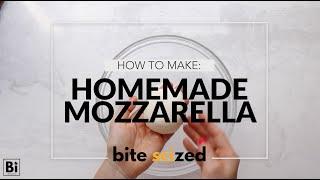 HOW TO MAKE: HOMEMADE MOZZARELLA [at-home science experiments with food]