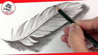 How to Draw a Feather with Pencil step by step | Pencil Drawing Techniques  (Subtitled on Screen)