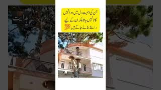 jinki ehmiat dil mai ho/ #shorts #inspiration #bestquotes #youtubeshorts #motivation