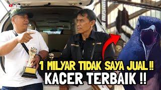 1 MILYAR SAYA TIDAK AKAN JUAL  INI BURUNG KACER TERBAIK 