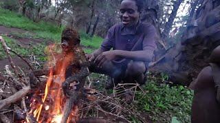 HADZABE HUNTERS ROASTING A MONKEY IN THE BUSH AND EAT IT