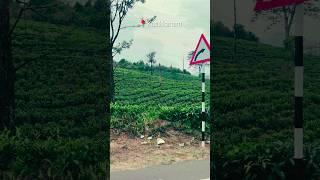Places to visit in Munnar #munnar #kuttikanam #kodaikanal #manjummelboys #gunacave #hillstation