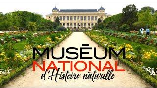 MUSÉUM NATIONAL D'HISTOIRE NATURELLE / FRANÇOIS À PARIS 24