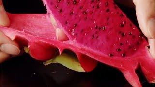 How To Eat Dragon Fruit | 3 Recipes to Try