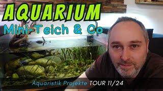 Aquarium, Mini-Teich & Co. Tour 11/24 -Alle Projekte im Überblick #Aquaristik #Tour