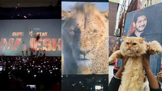 Mahesh Babu Fans Celebrates Mufasa The Lion King | MS Talkies