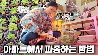 [ SUB ] 파종, 씨앗을 심는 정원생활자 Sowing, Seed-Planting Gardener | 정원의 발견 Wonders of Garden | KBS제주20240308방송