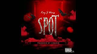 Kay J Wong - Spot ( Produced By Lemario ) Official Audio