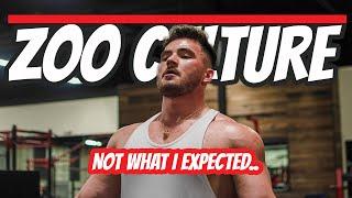 ZOO CULTURE HONEST GYM REVIEW || LA VLOG