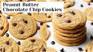 Peanut Butter Chocolate Chip Cookies