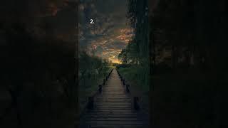Which Path Would You Take? #shorts #aesthetic #nostalgia #shortfeed