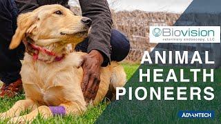 Beyond the Fur - Pioneering Veterinary Endoscopy for Happier, Healthier Animals