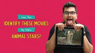 Can You Identify These Movies By Their Animal Stars? | Ok Tested