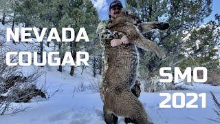 COUGAR HUNT WITH DOGS - SMO 2021