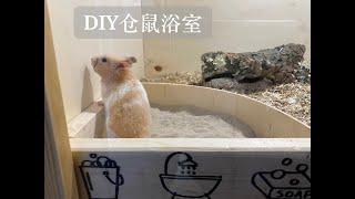 仓鼠（ part 3 ）DIY 仓鼠浴室 / 什么是主人和仓鼠都爱的仓鼠浴室? / DIY Badzimmer für Hamster