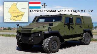 Luxembourg wholesale 80 Tactical combat vehicle Eagle V CLRV from GDELS