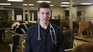 Why Veterinary Science Technology?