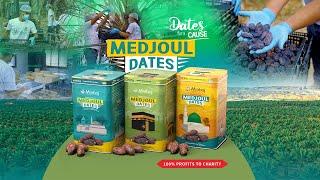 Medjoul Dates - Minhaj Welfare Foundation