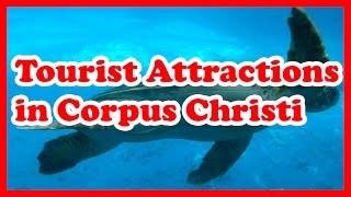5 Top Tourist Attractions in Corpus Christi, Texas | US Travel Guide