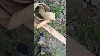 9 февраля 2024 г.
