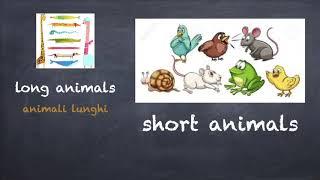 Lingua inglese per bambini: vocabolario (lungo/corto)