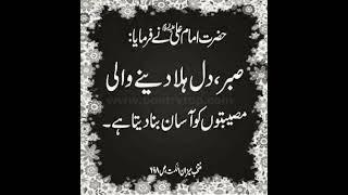 Hazrat Ali quotes......